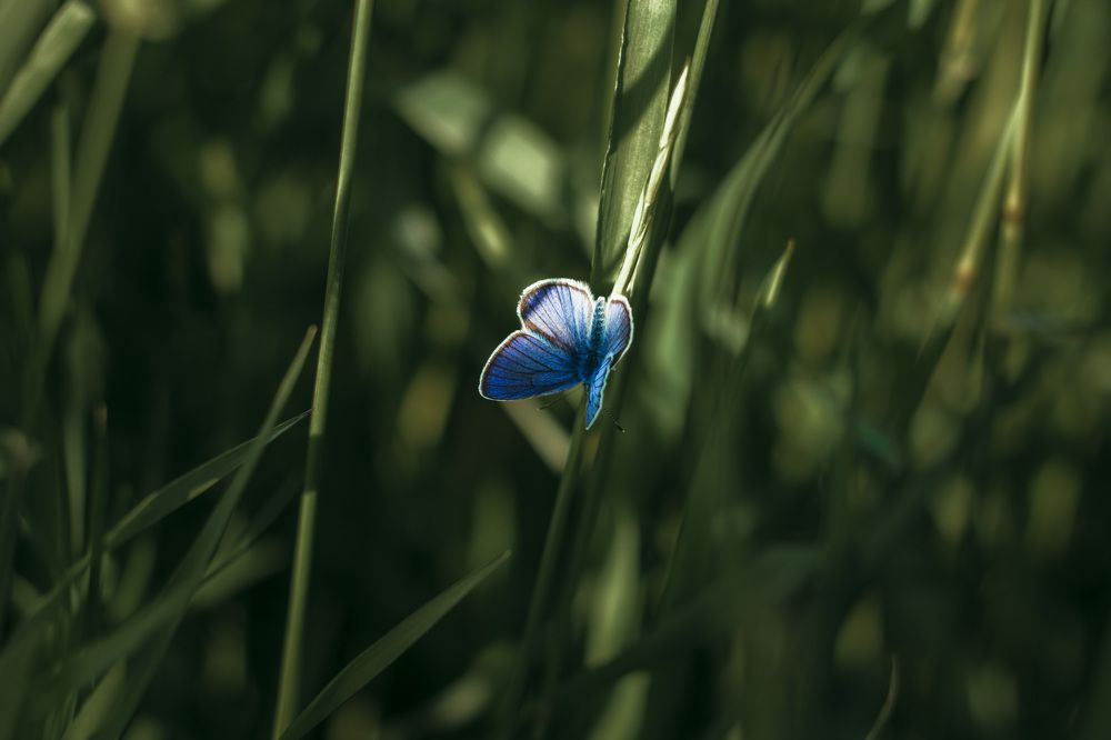 Photograph by Екатерина Воеводская