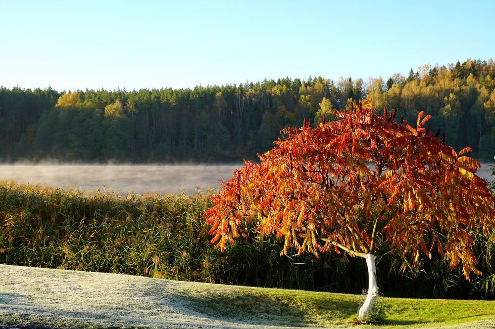 Photograph by Arkady Sandler