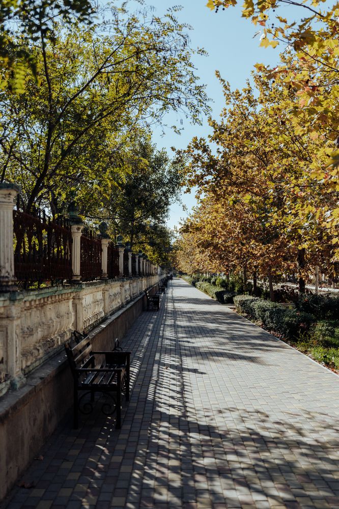 Photograph by Юлия Ламанова