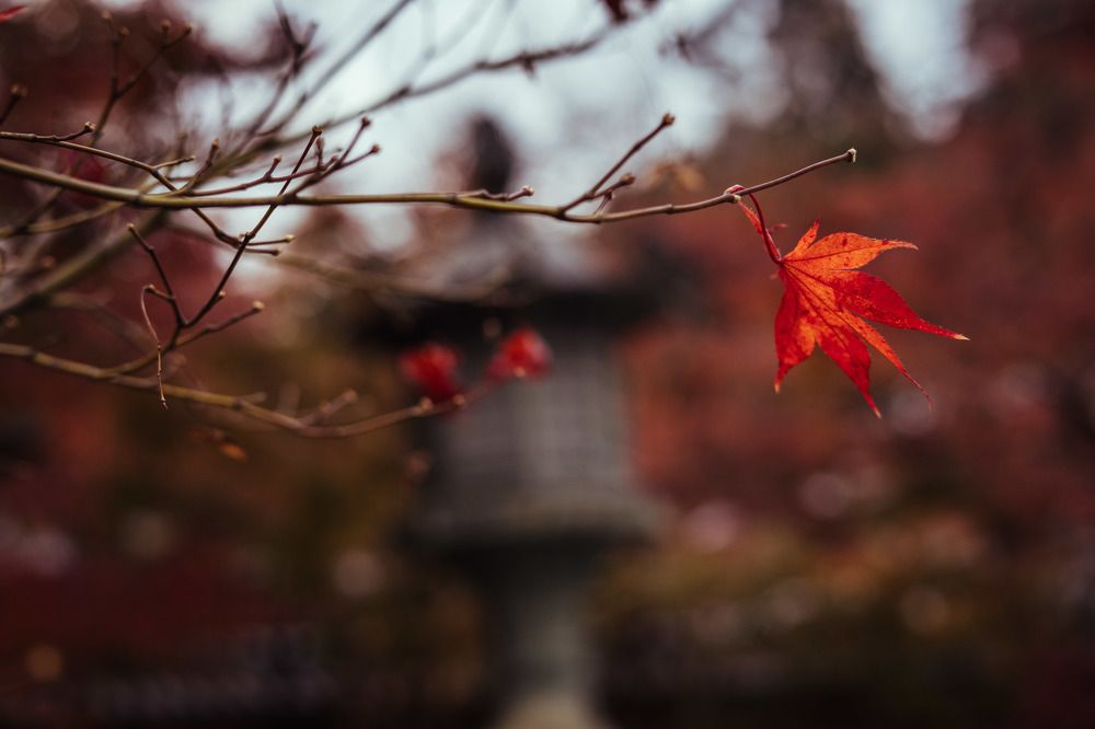 Фотография автора Наталья Барова