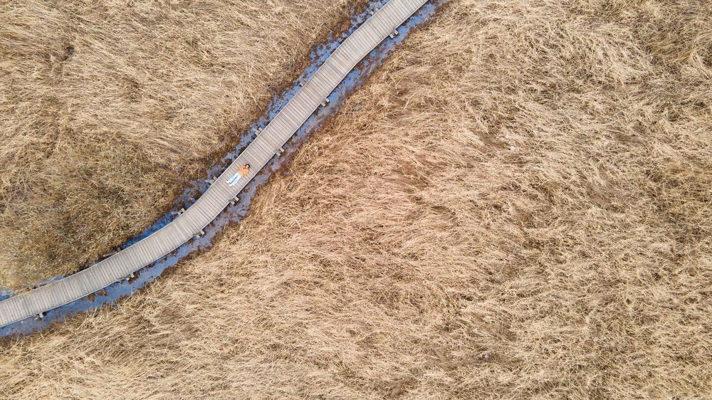 Photograph by Olga Smirnova