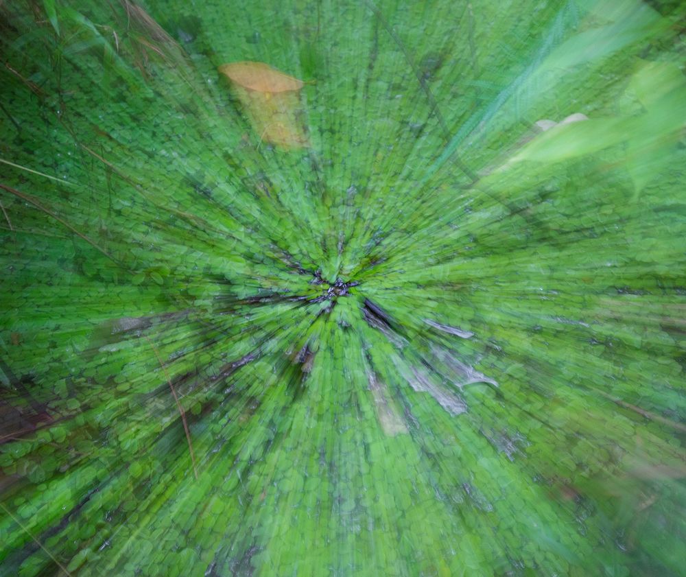 Фотография автора Laddu Sasindu Pramuditha De Silva