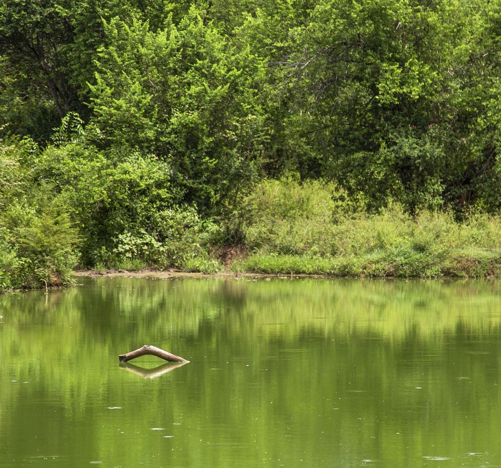Фотография автора Laddu Sasindu Pramuditha De Silva