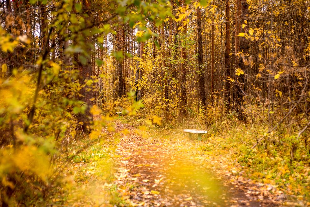 Photograph by Анатолий Кузьмин