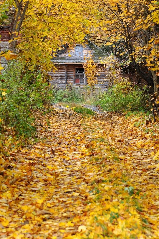 Photograph by Роман Межерицкий