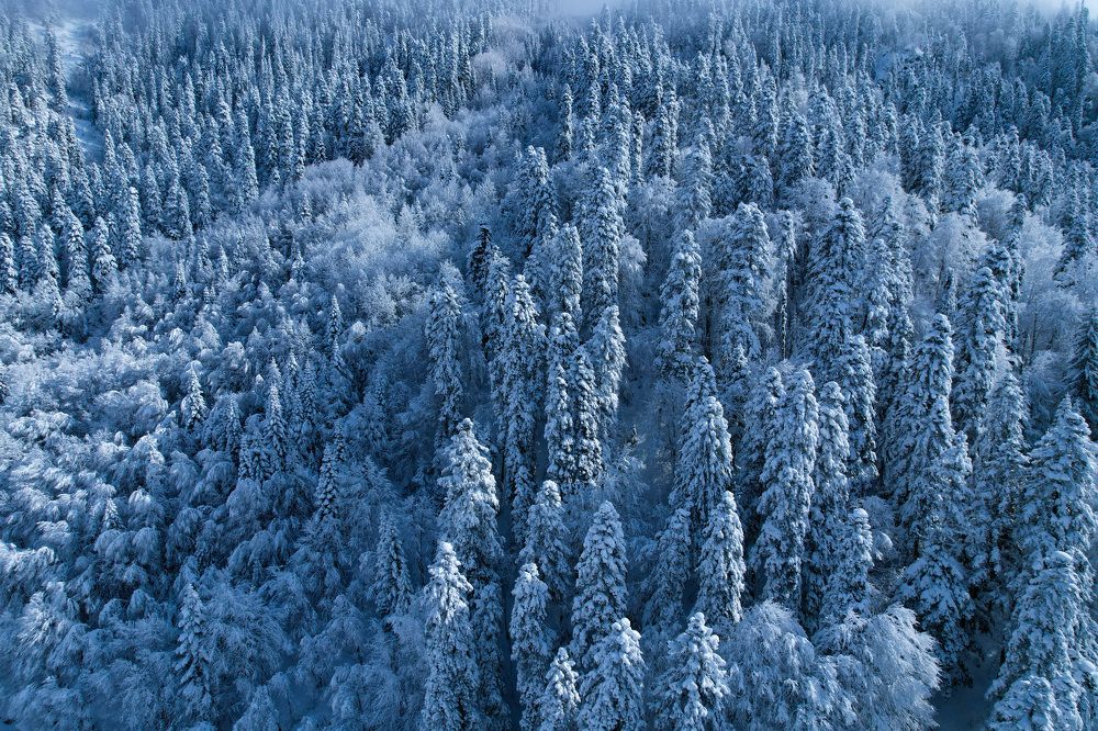 Photograph by Дмитрий Костяков