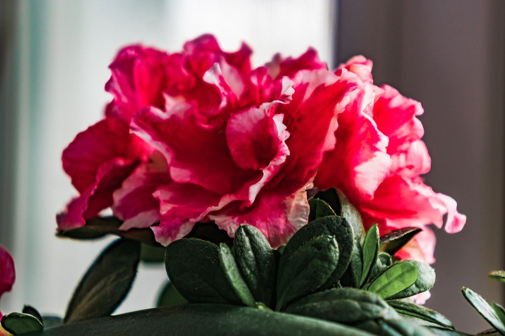 Photograph by Артём Александрович