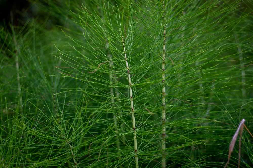 Photograph by Дмитрий Цикин