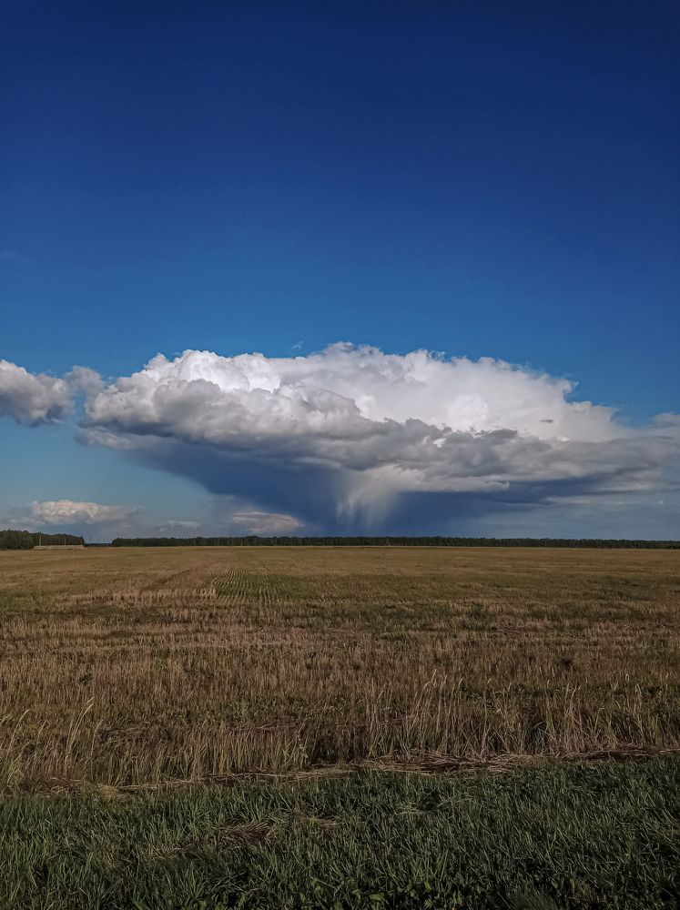 Фотография автора Ольга Савочкина