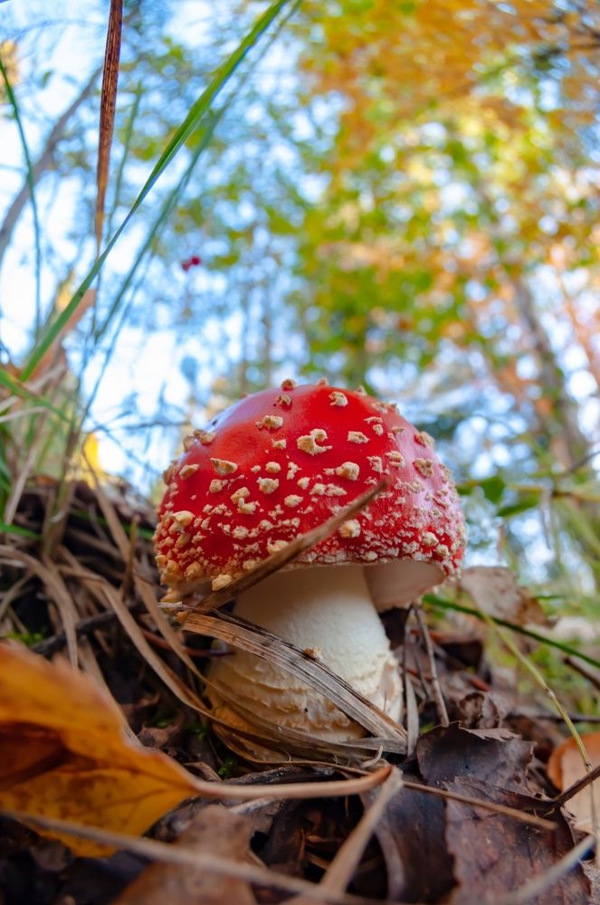 Photograph by Алексей Ильин