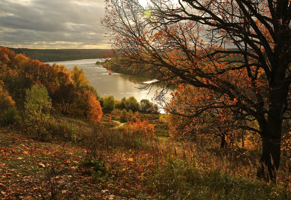 Фотография автора Nikolay Suglobov