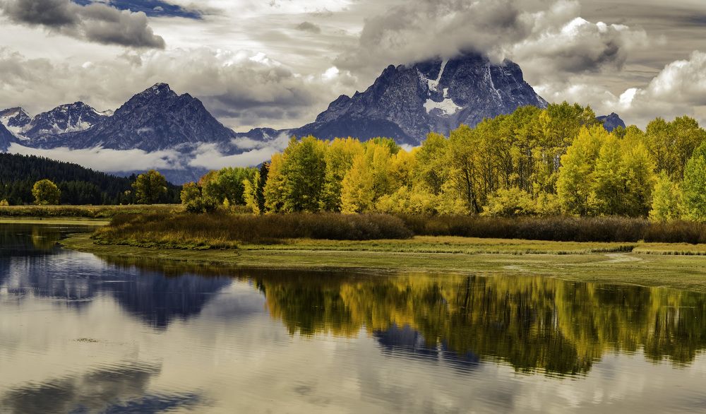 Photograph by Tom Ingram