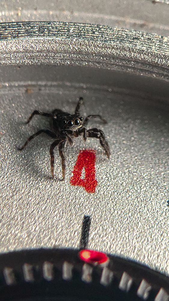 Photograph by Романова Мария