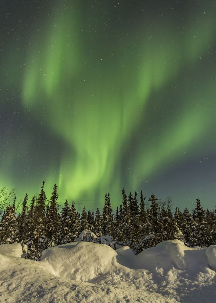 Photograph by Tom Ingram