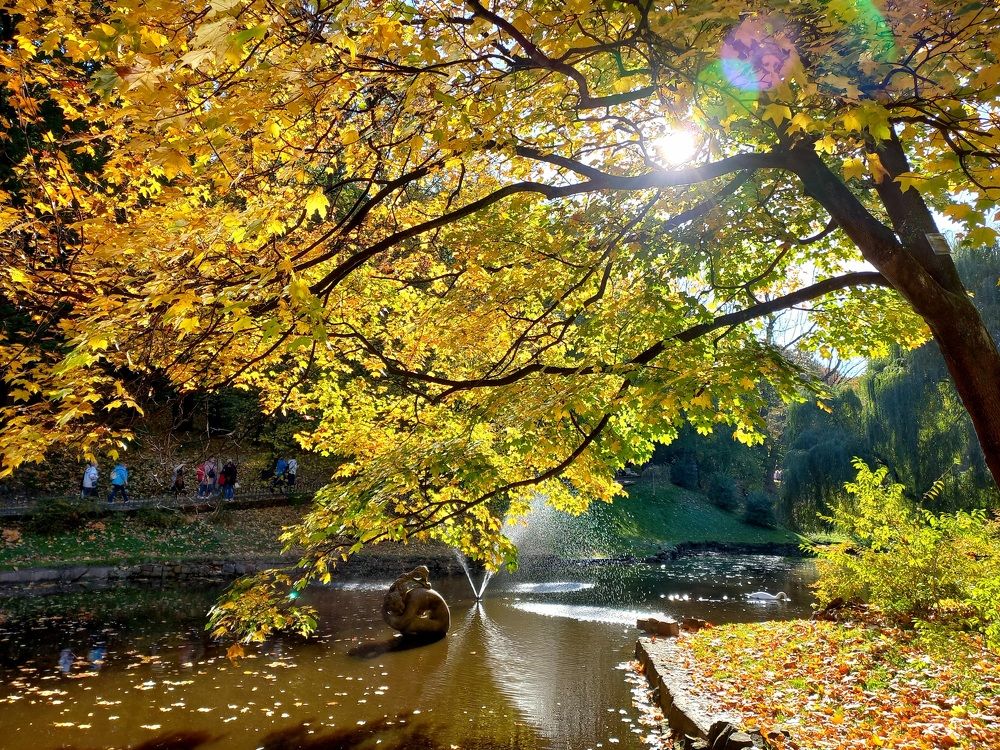 Photograph by Елена Шерман