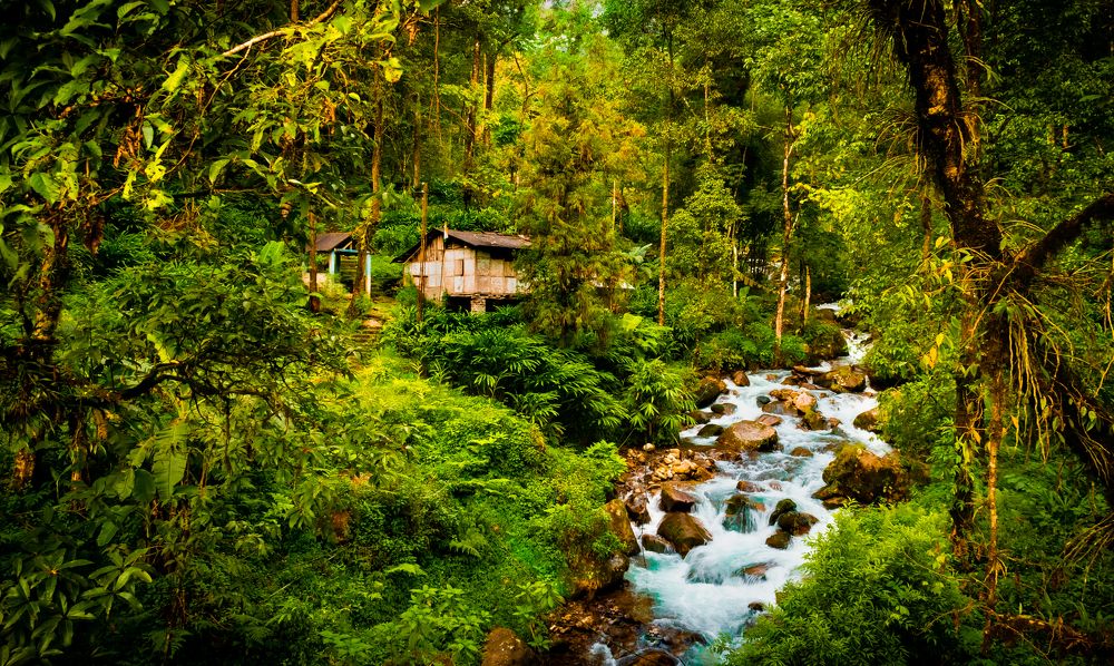 Photograph by Bondhu Dey