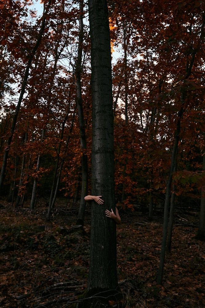 Photograph by Алина Шевченко