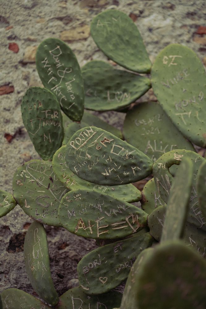 Photograph by Mikhail Bekker