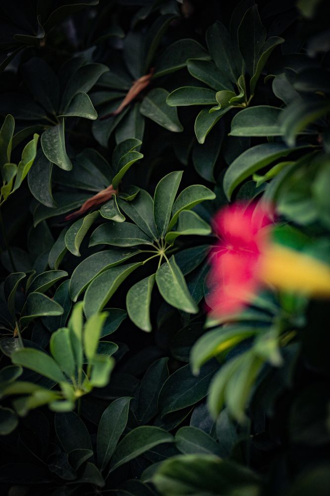 Photograph by Mikhail Bekker