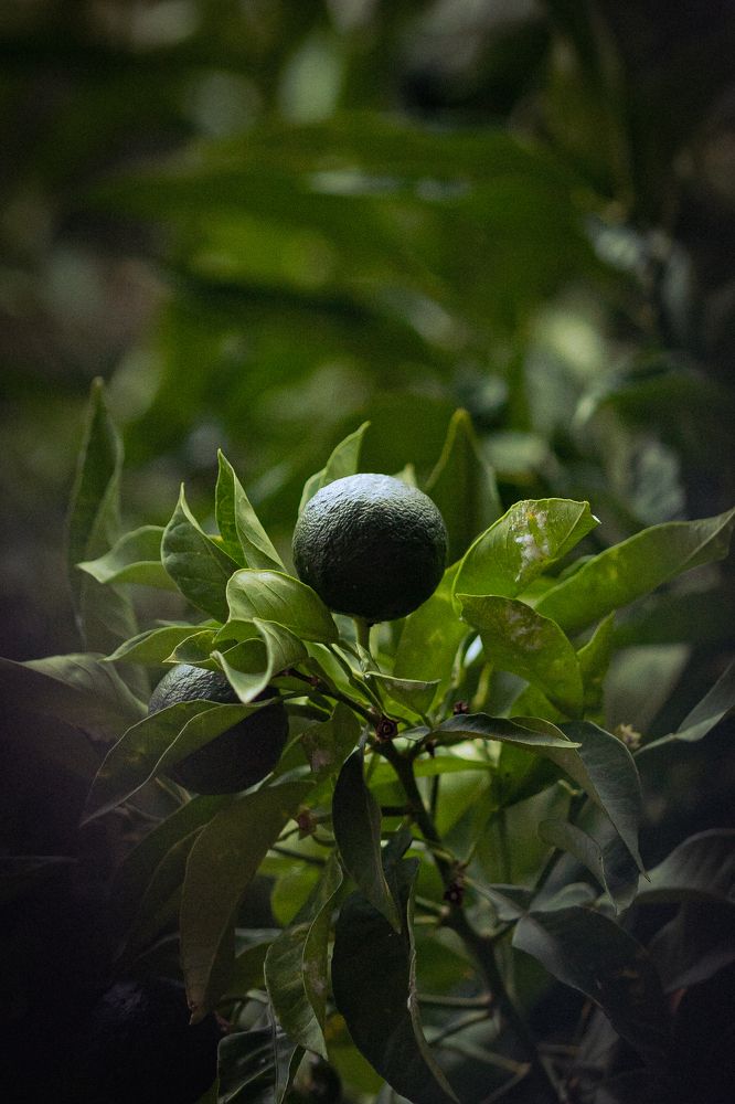 Photograph by Mikhail Bekker