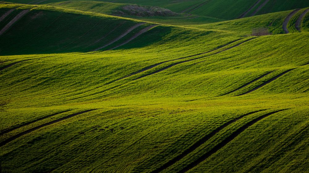 Photograph by Wiktor Kulesa