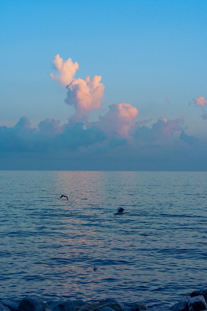 Photograph by Mikhail Bekker