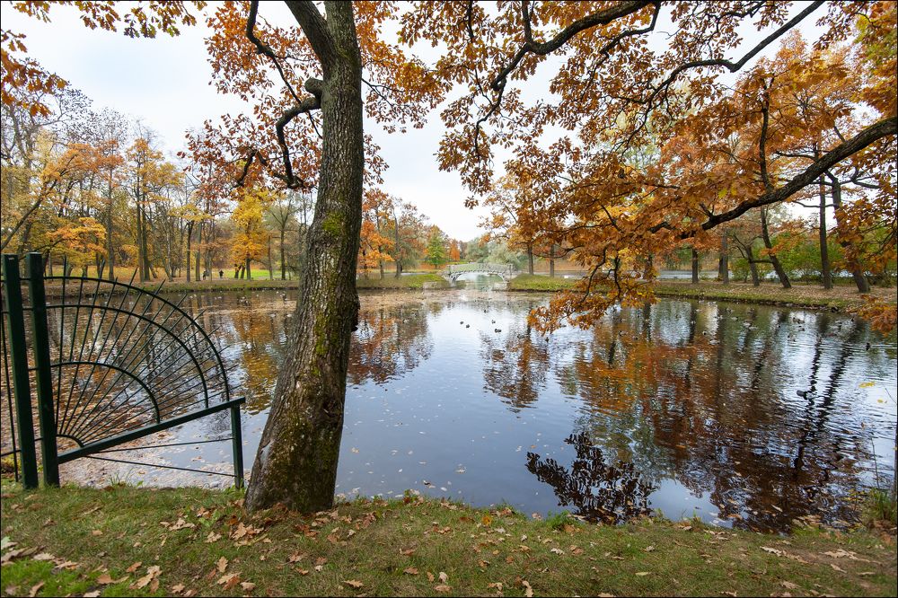 Photograph by Георгий Сапожников