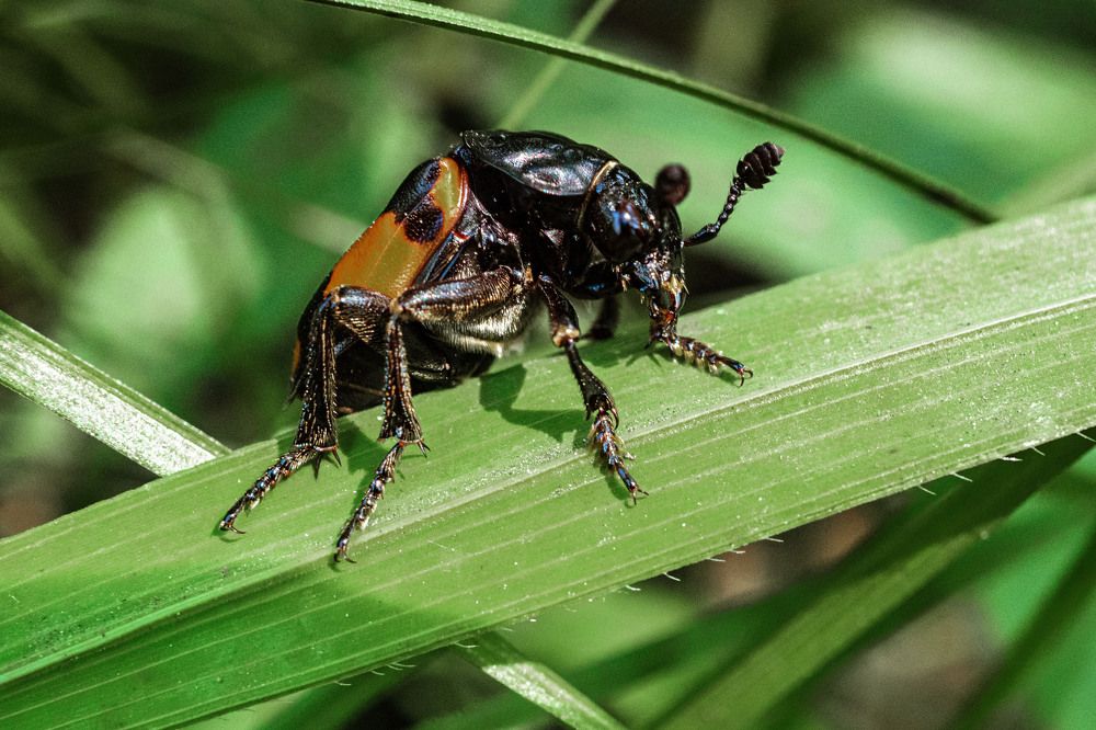 Photograph by Светлана Андреева