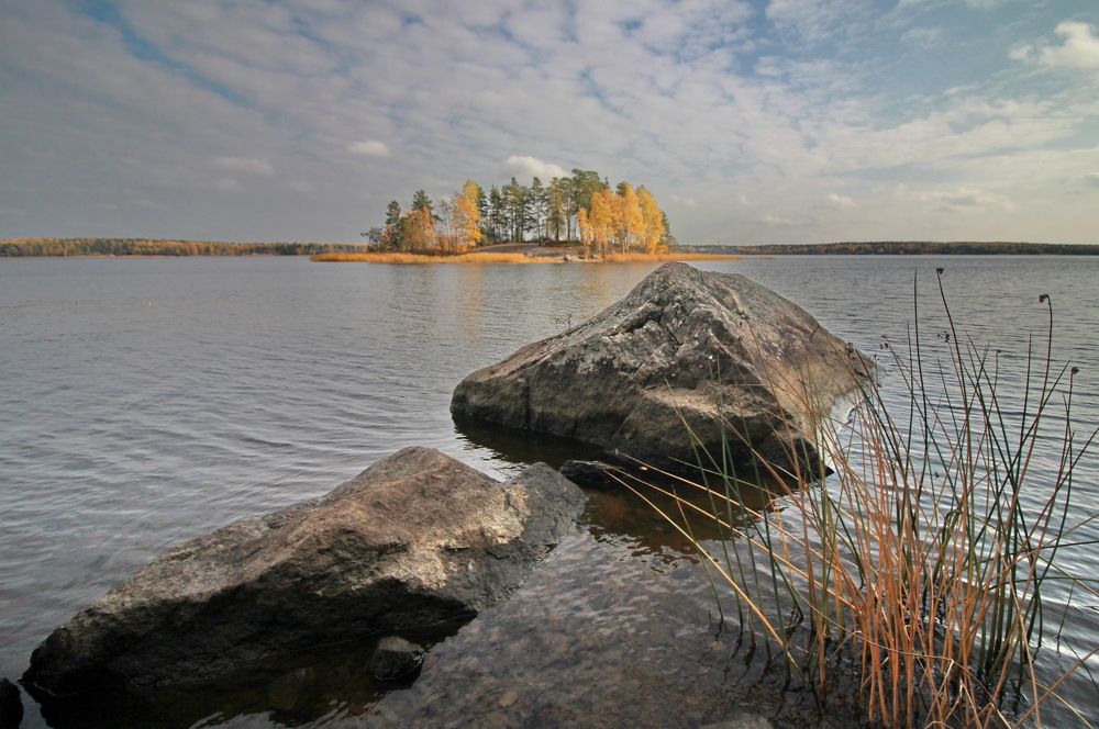 Берег Монрепо