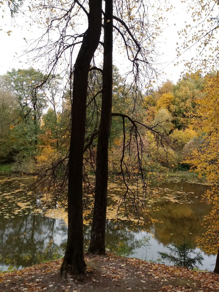 Photograph by Марина Алёшина