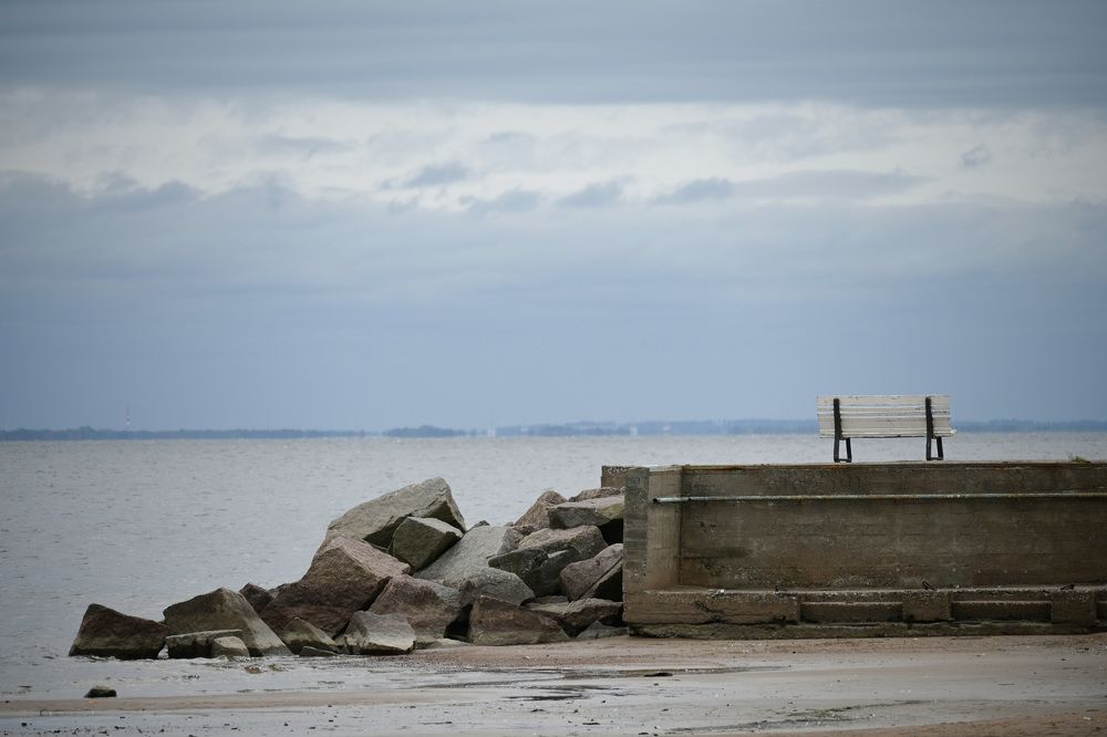 Фотография автора Larisa Meshkova