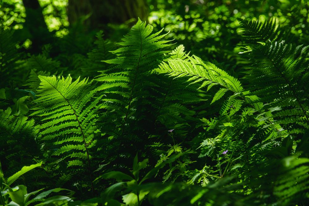 Photograph by Константин Шишкалов