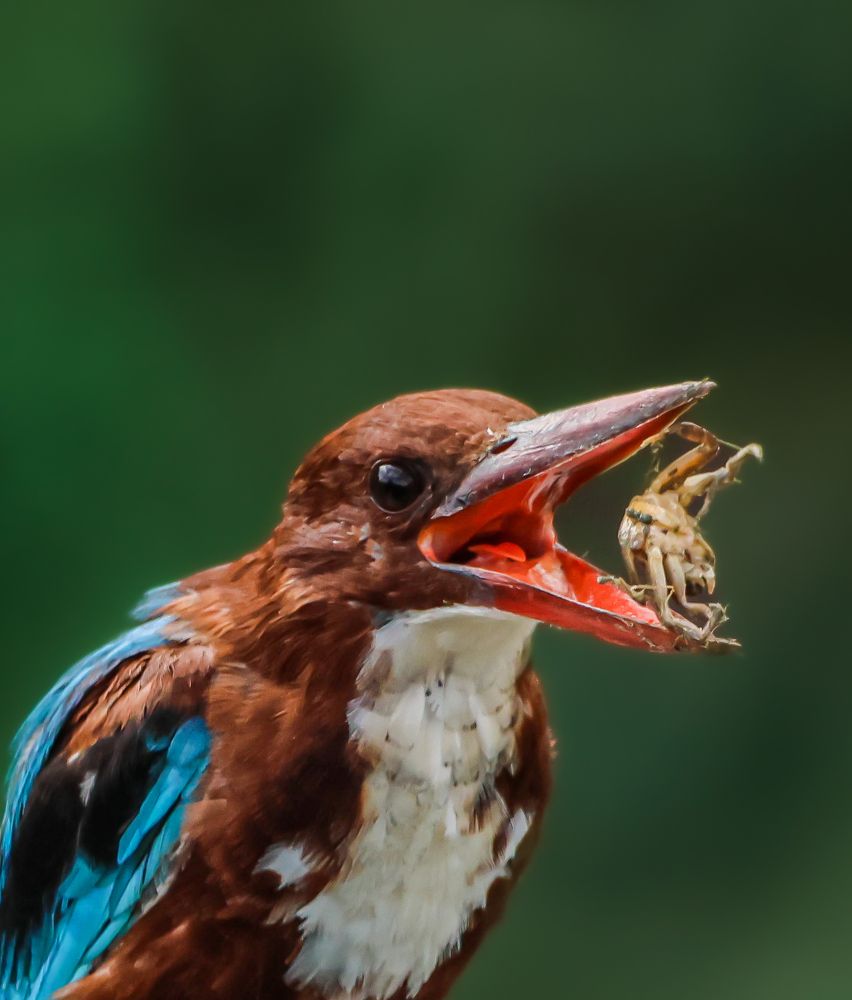 Photograph by Mayank Bhushan