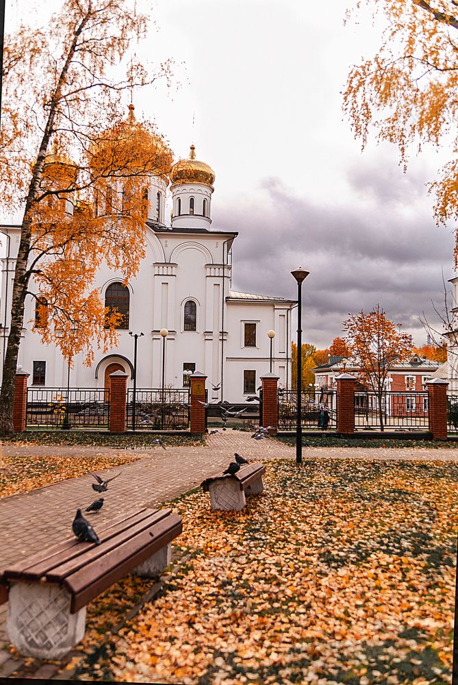 Photograph by Ольга Ланец