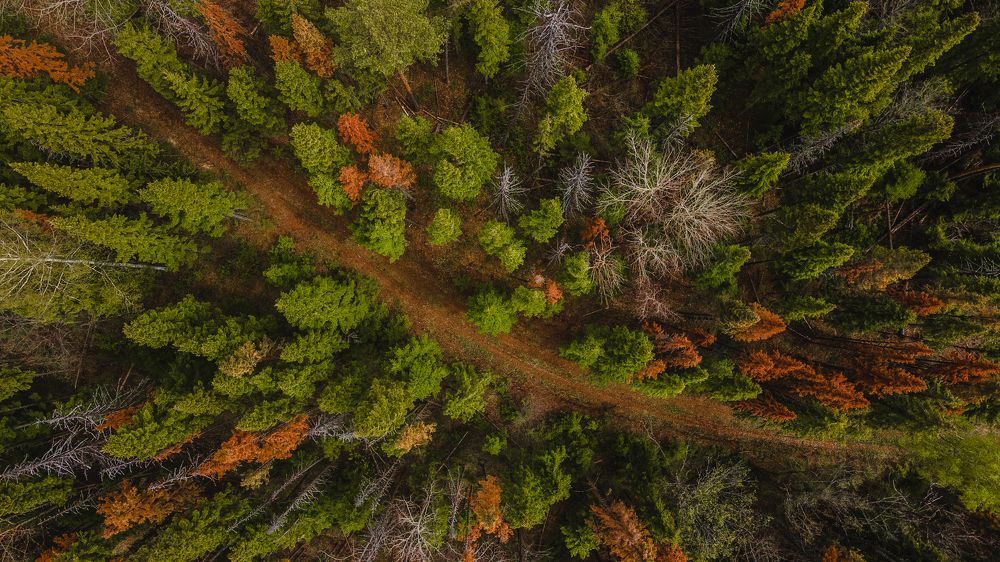 Photograph by Никита Волокитин