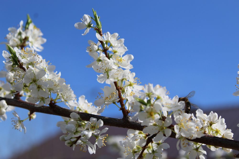 Photograph by Наталия