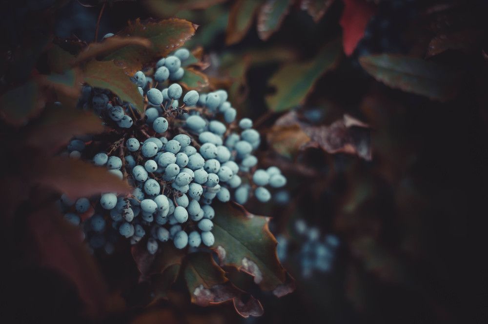 Photograph by Карпова Валентина