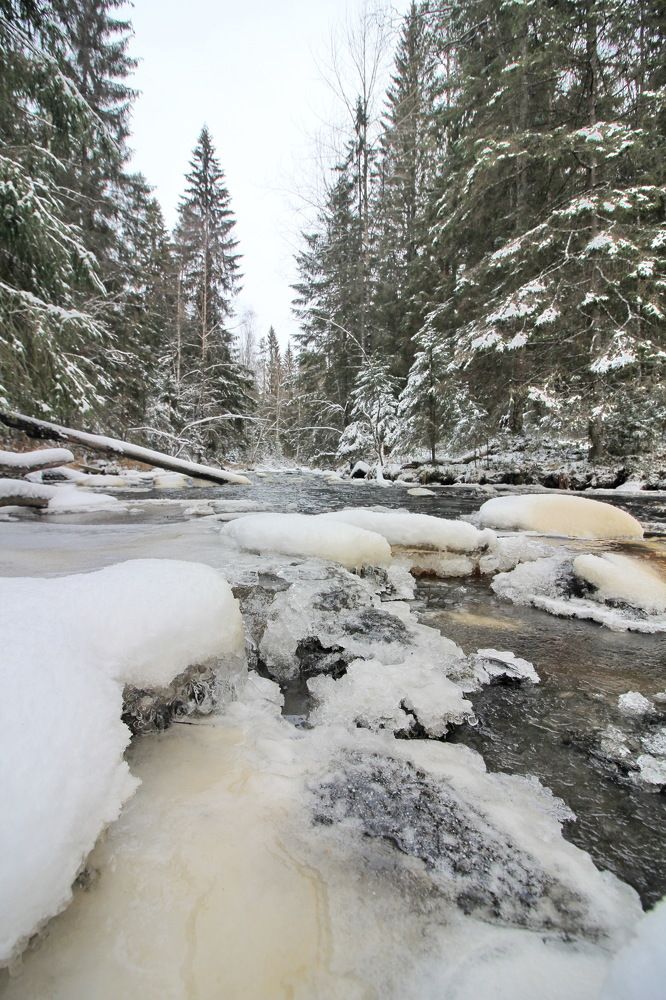 Зимняя речка