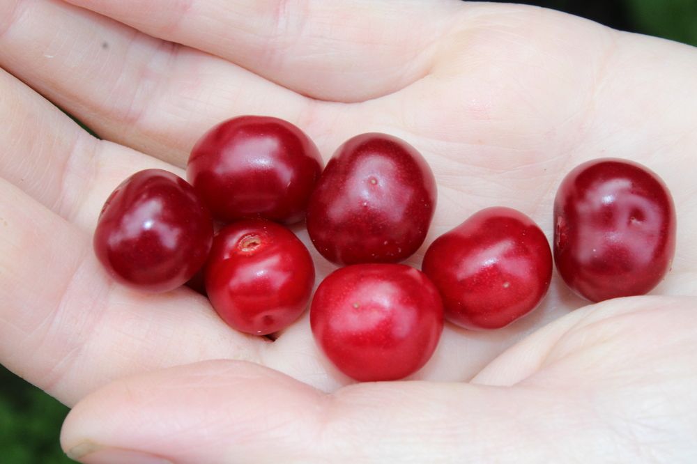 Photograph by Наталия