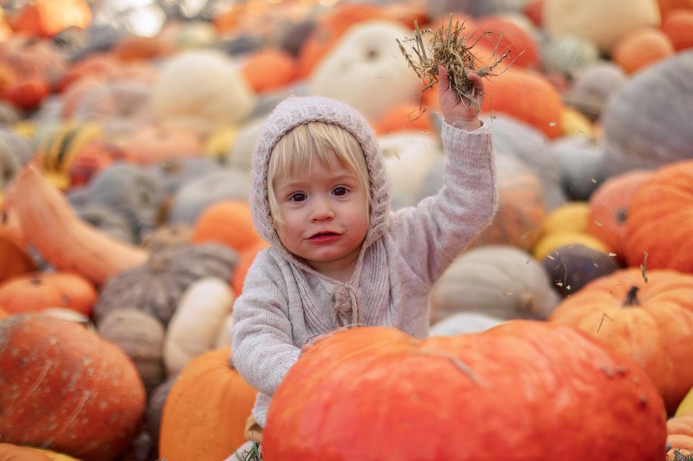 Photograph by Екатерина Шефер