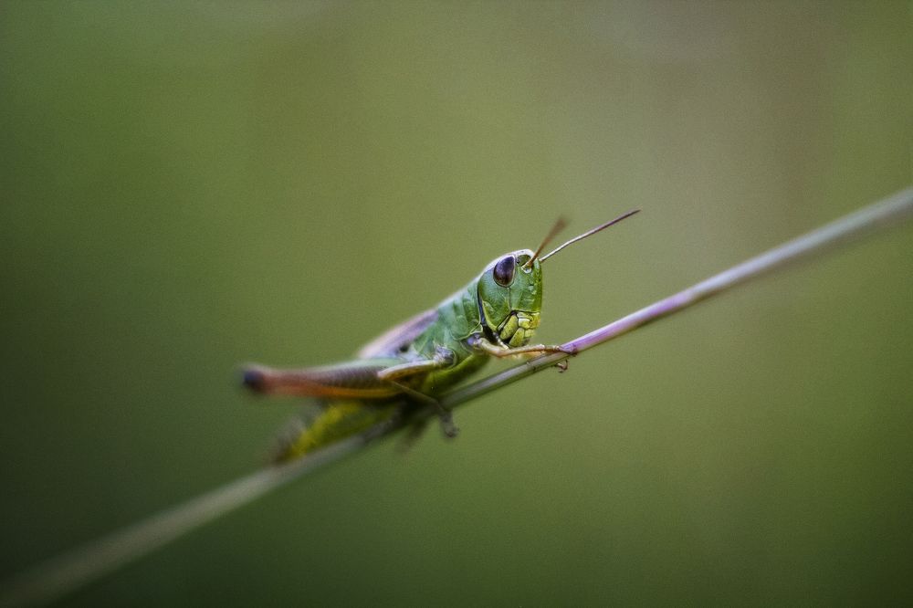 Photograph by Екатерина Мезенова
