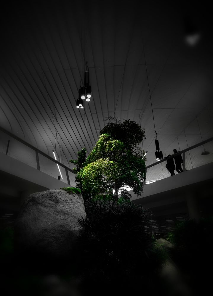 Photograph by Tuure Äikäs