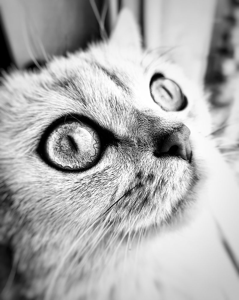 Photograph by Дмитрий Одинцов