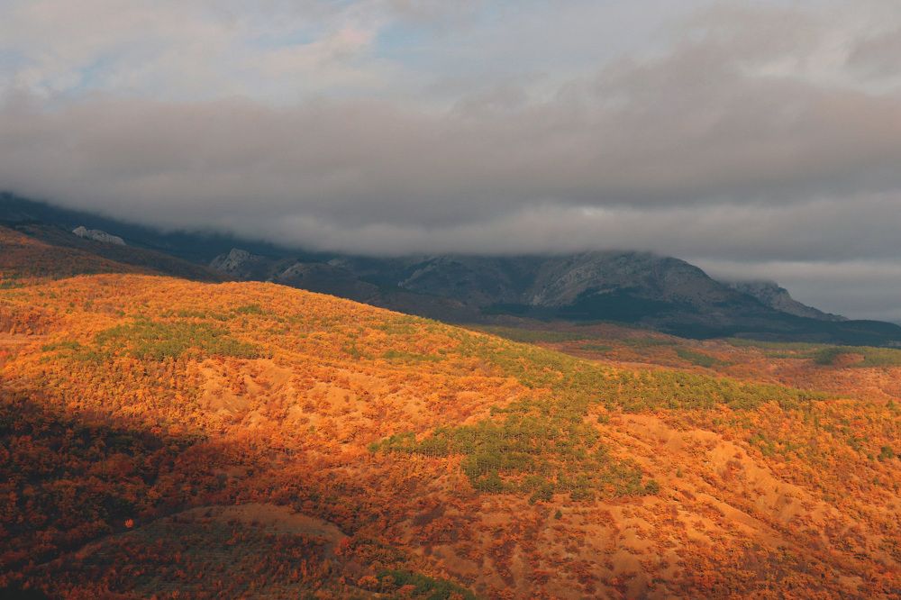 Photograph by Анатолий Вивдич