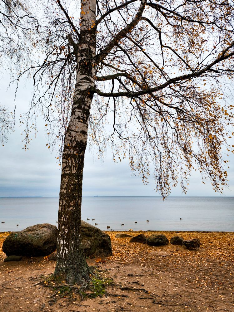 Photograph by Chic.chiquitita