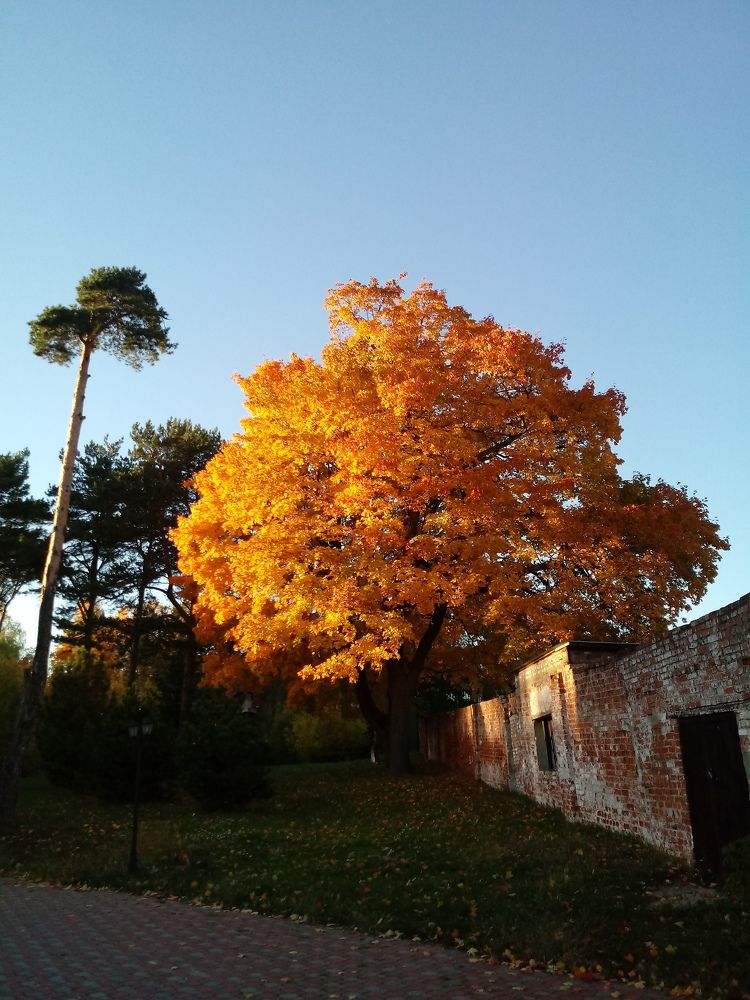 Photograph by Марина Алёшина