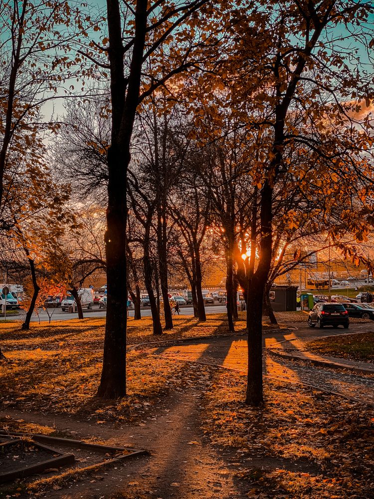 Осенний закат