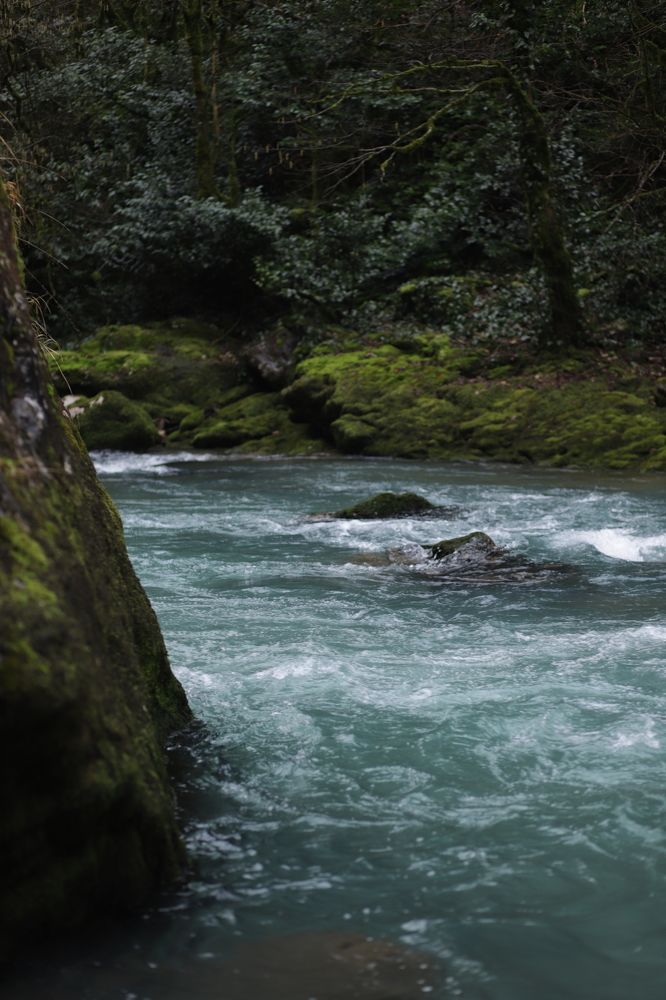 Photograph by Галина Шипухина