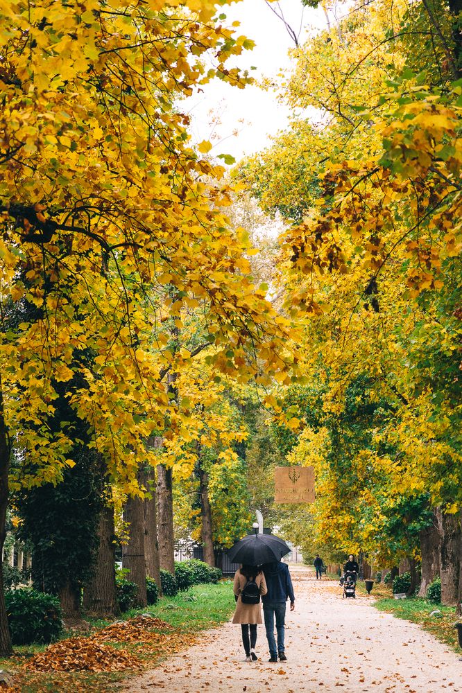 Photograph by Полина Родинс