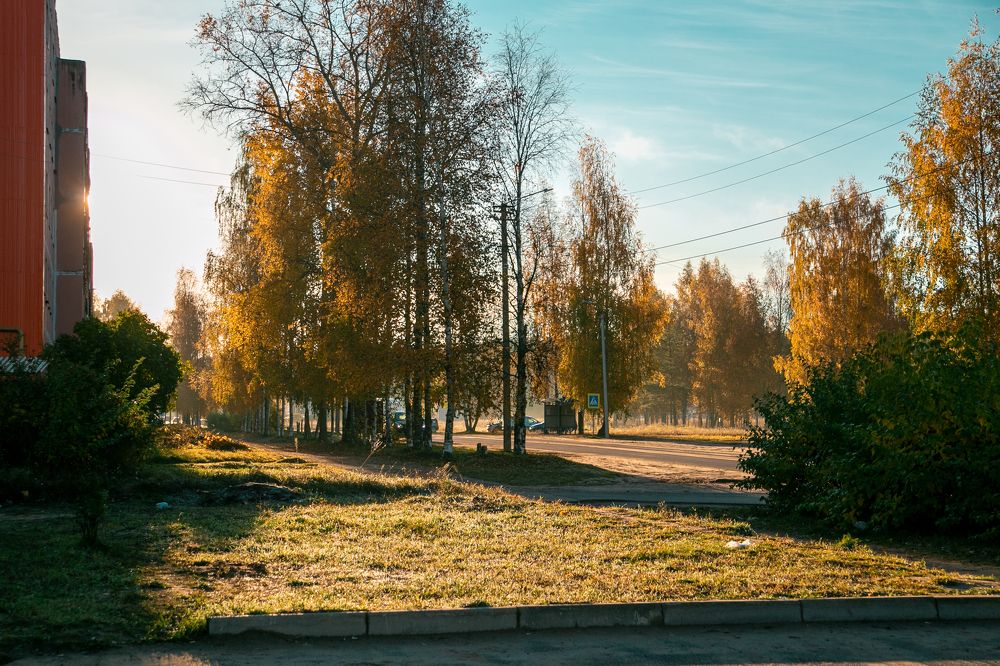 Photograph by Ольга Ланец